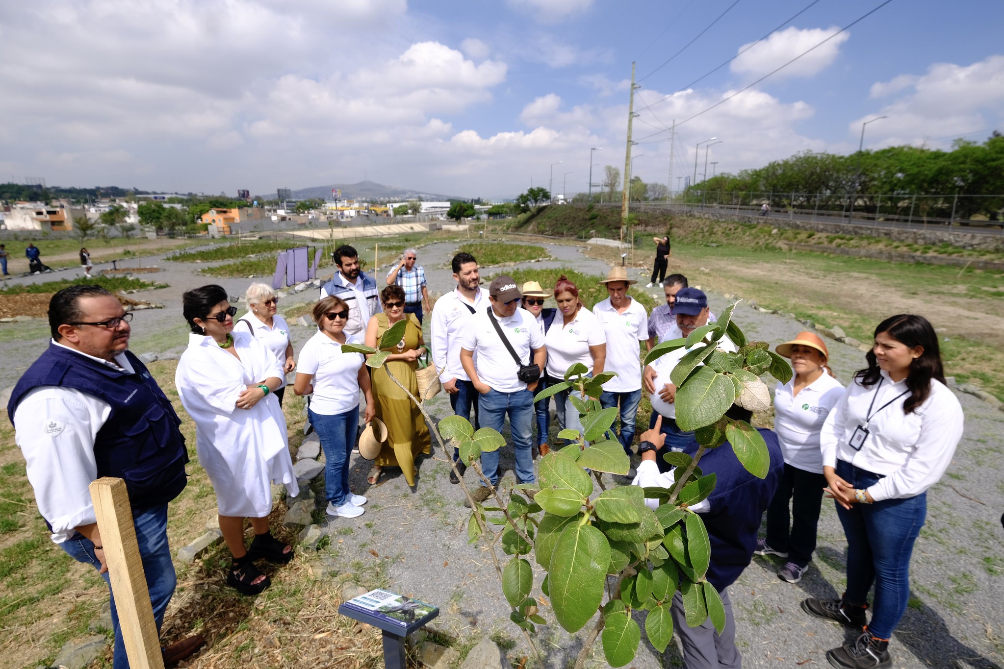 Gobierno Del Estado De Jalisco