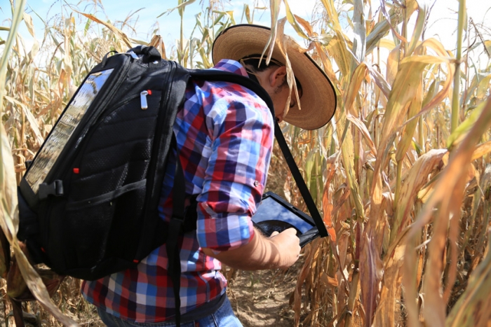 Imagen alusiva a la nota Retoma el campo de Jalisco el extensionismo rural