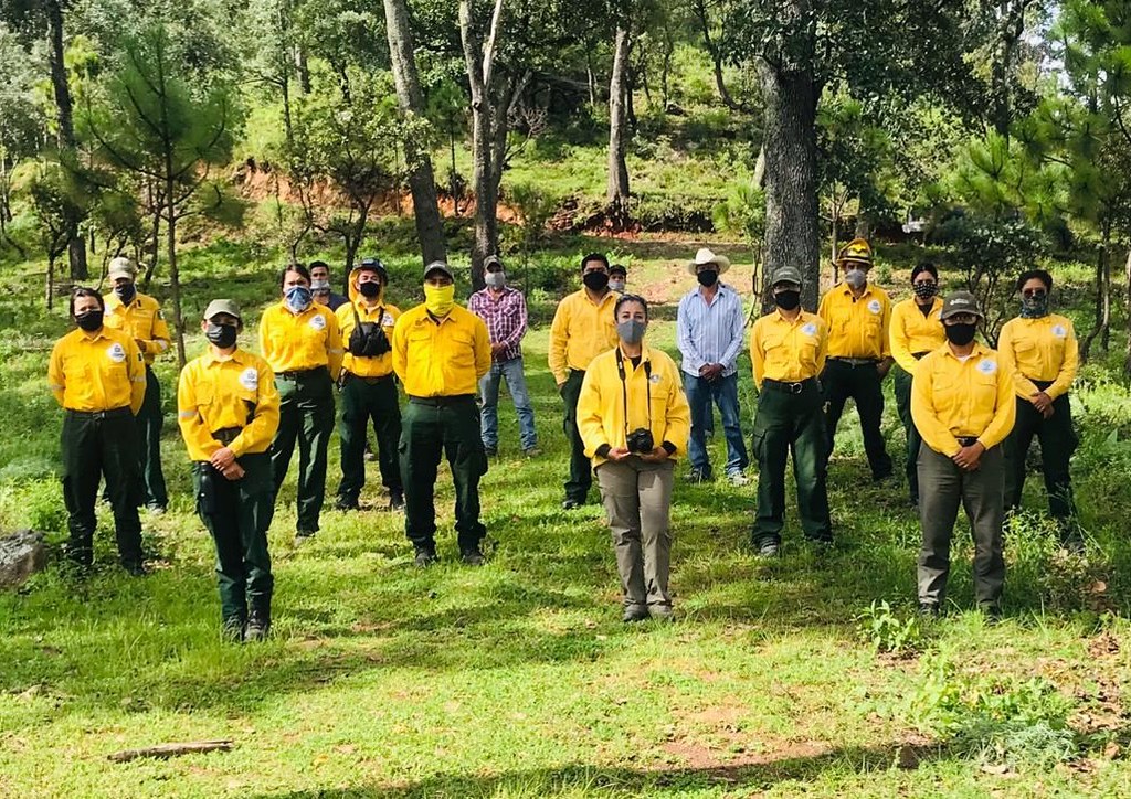 Brigadas De Semadet Continúan Con Acciones De Reforestación Y Conservación De Suelos En El