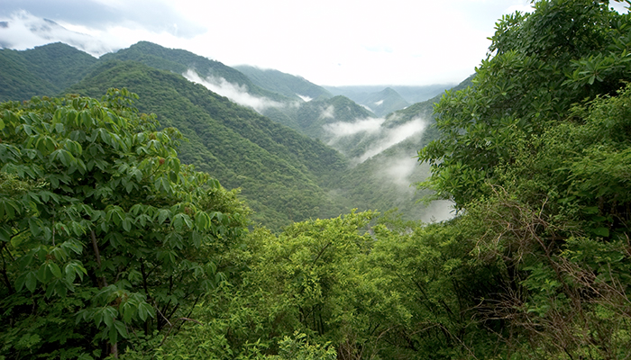 Foto de un paisaje donde se muestra la sierra occidental.