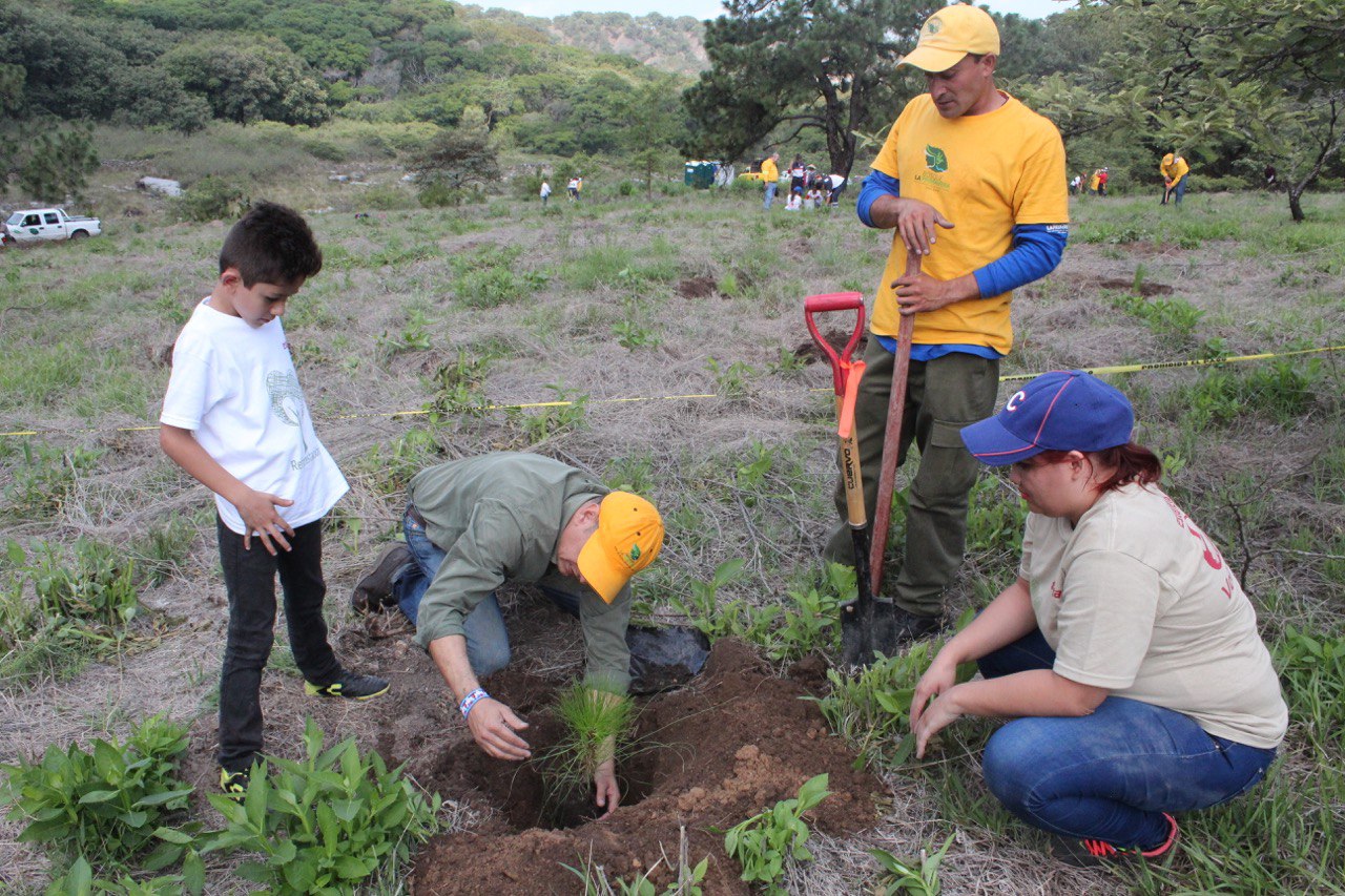 Lanza OPD Bosque La Primavera convocatoria de reforestación social |  Gobierno del Estado de Jalisco